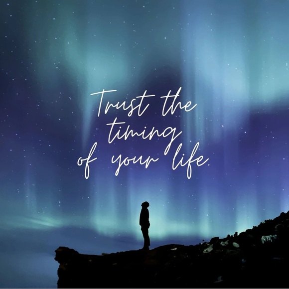 10/$25🦋 H&M Navy & White Palm Tree Print Pocket Tee - Size Small - Picture 15 of 15